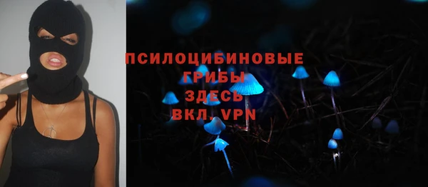 PSILOCYBIN Вязьма