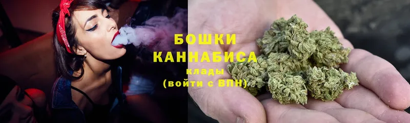 Бошки марихуана THC 21%  Кисловодск 